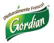 GORDIAN, S. A. 