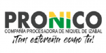 logo_PRONICO, S.A.