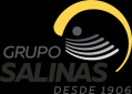 logo_GRUPO SALINAS