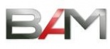 logo_BAM