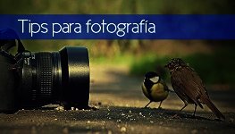 Tips para lograr una fotografía profesional