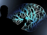 Curiosidades sobre el cerebro humano