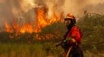 Noticias Internacionales al Instante Agosto 21, jueves