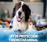 Noticias Nacionales al Instante Noviembre 19, miércoles